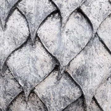 Steal leaf texture background Stock Photos