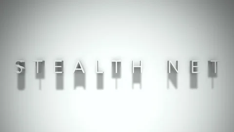 Stealth net 3D title animation with shadows on a white background Stock Footage 297467054