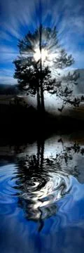 Steam and Tree with Sunlight Rays Blue Sky Reflecting in Water Stock Photos