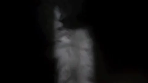 Steam on a black background Stock Footage 242200569