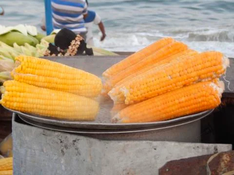 Steam boiled corn Stock Photos
