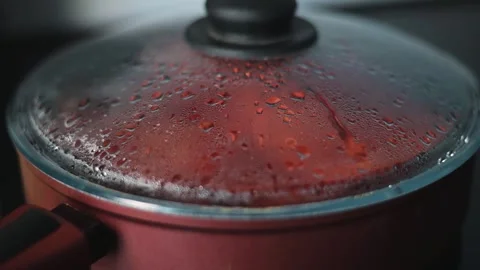 Steam builds up under the lid of a pot as it cooks on a stovetop in a kitchen. Video stock 344667355