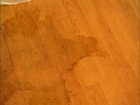 Steam cleaner wipes away stain on wooden floor Stock Footage 123775896