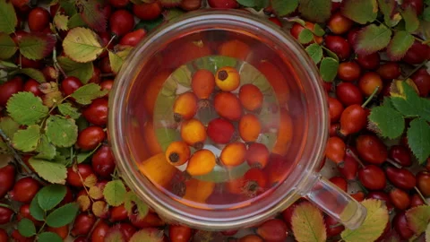 Steam comes from a hot drink made from rosehip fruit, poured into a cup. Stock Footage 291475862