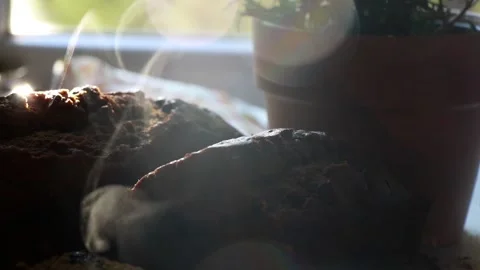 Steam coming off banana bread Stock Footage 239298791
