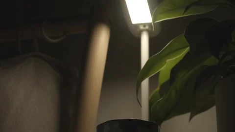Steam coming off hot tea Stock Footage 267355023