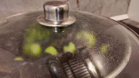 Steam condensation on lid while mussels cook Stock Footage 345492116