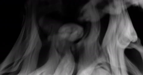 Steam Video stock 234969900