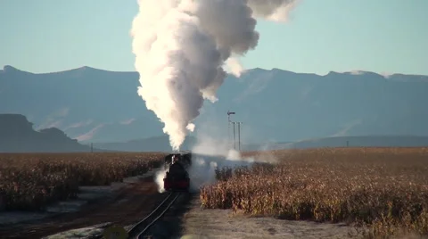 Steam freight train approaches camera Video stock 57261299