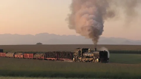 Steam freight train steams towards camera in the golden early morning light Video stock 80483899