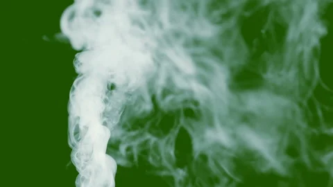 Steam from hot on isolated background, slow motion Stock Footage 102144644