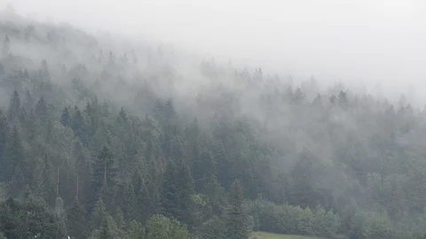 Steam over mountains after a rain. Stock Footage