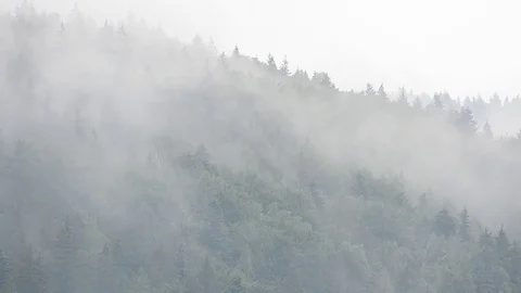 Steam over mountains after a rain. Stock Footage
