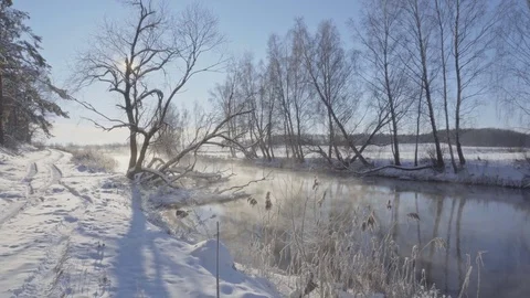 Steam over the water of the river in the winter forest Stock Footage 72506599