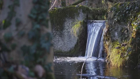 Steam in the park background 動画素材 166860669