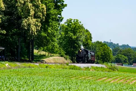 Steam Passenger Train Pulling into Picnic Area Foto stock