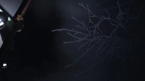 Steam from the pipe froze on the branches of the tree Stock Footage 239358158