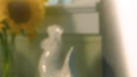 Steam from pot Stock Footage 94124164