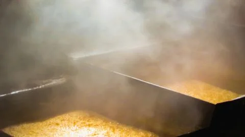 Steam rises from boiling maple sap in large evaporator pans during syrup pr.. Stock Photos