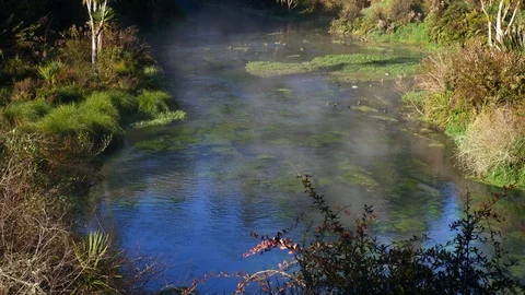 Steam rises form the pristine Te Waihou Bue Spring in New Zealand Stock Footage 94835119
