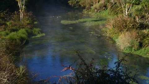 Steam rises form the pristine Te Waihou Bue Spring in New Zealand Stock Footage 94836492