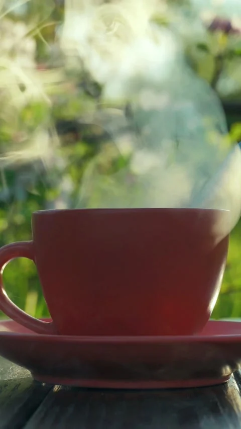 Steam rises from a pink coffee cup on a wooden table surrounded by blooming Stock Footage 339810665