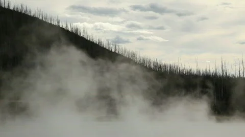 Steam Rising with Forest Trees in Background Stock Footage 529624