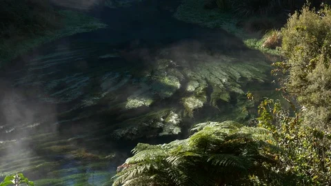 Steam rising form the pristine Te Waihou Bue Spring in New Zealand Stock Footage 94839039