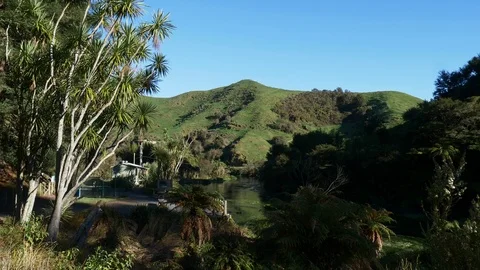Steam rising form the pristine Te Waihou Bue Spring in New Zealand Stock Footage 94864517