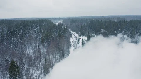 Steam from running retro train in forest Stock Footage 121464357