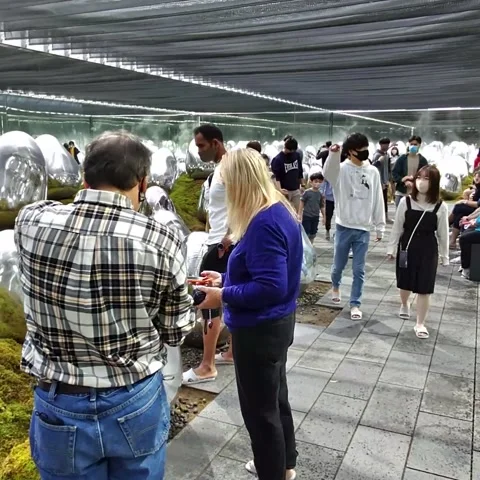 Steam Structure Stock Footage 236264826