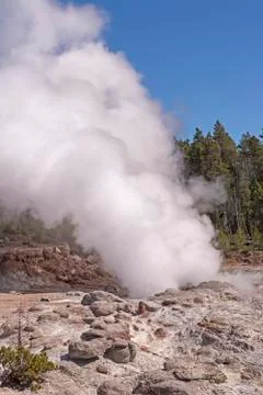 Steam from a thermal pool 库存照片