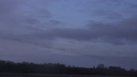 Steam Train close up old style image UK England 4K Stock Footage 173584848
