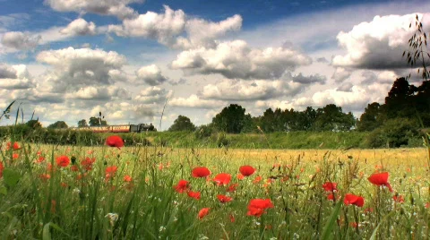 Steam train in countryside Stock Footage 139113