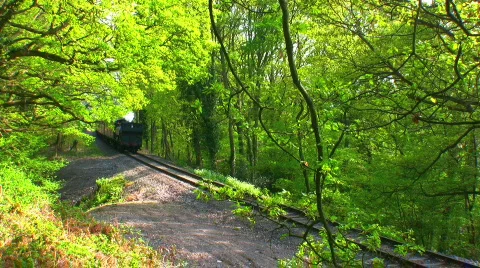 Steam train in countryside Stock Footage 141045
