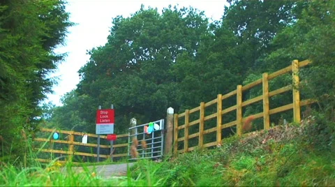 Steam train in the countryside Stock Footage 265683