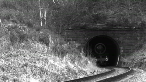Steam train in countryside Stock Footage 364456