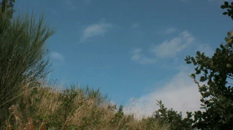 Steam train in the countryside Stock Footage 522266