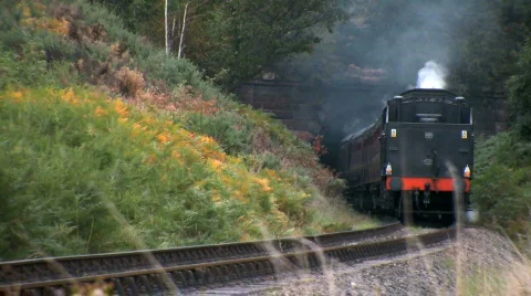 Steam train in the countryside Stock Footage 522589