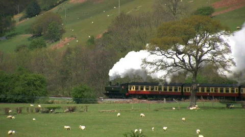 Steam train in the countryside Stock Footage 710839