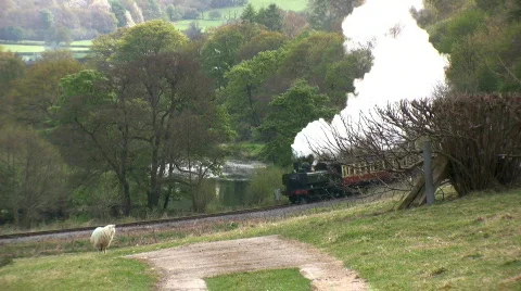 Steam train in the countryside Stock Footage 710913