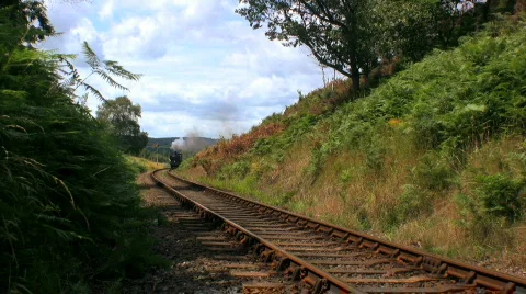 Steam train entering tunnel Stock Footage 483041