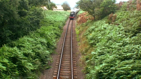 Steam train entering tunnel Stock Footage 483043