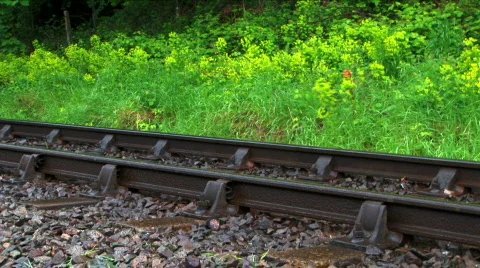 Steam train  Stock Footage 400800