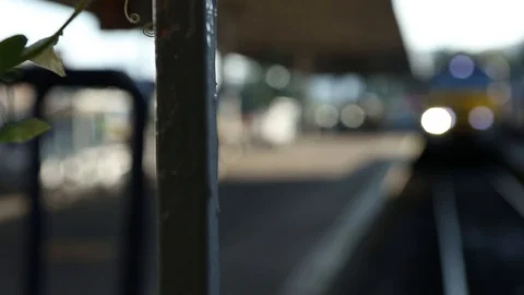 Steam train Stock Footage 101132362