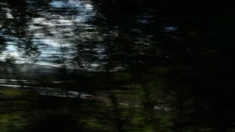 Steam train Stock Footage 101134934