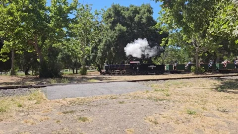 Steam Train in Motion, Kids Train, Northern California Video stock 246872877