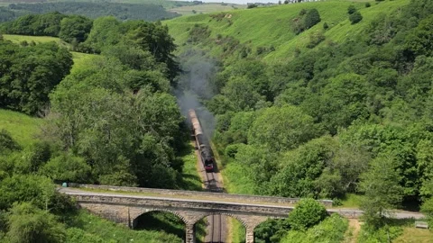 Steam Train on NYMR Stock Footage 244461625