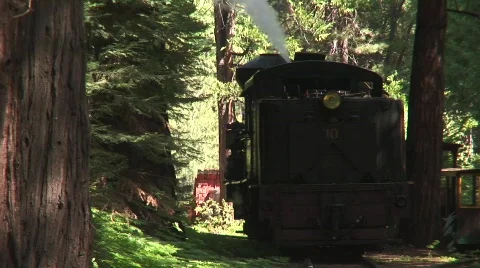 Steam train passing 3 Stock Footage 479093