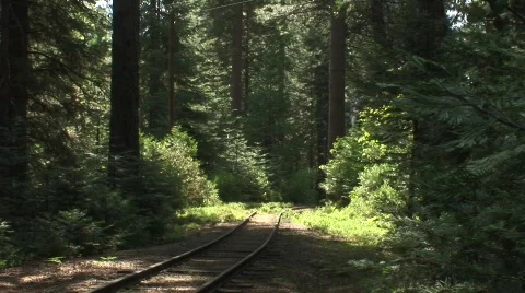 Steam train passing 5 Stock Footage 479618